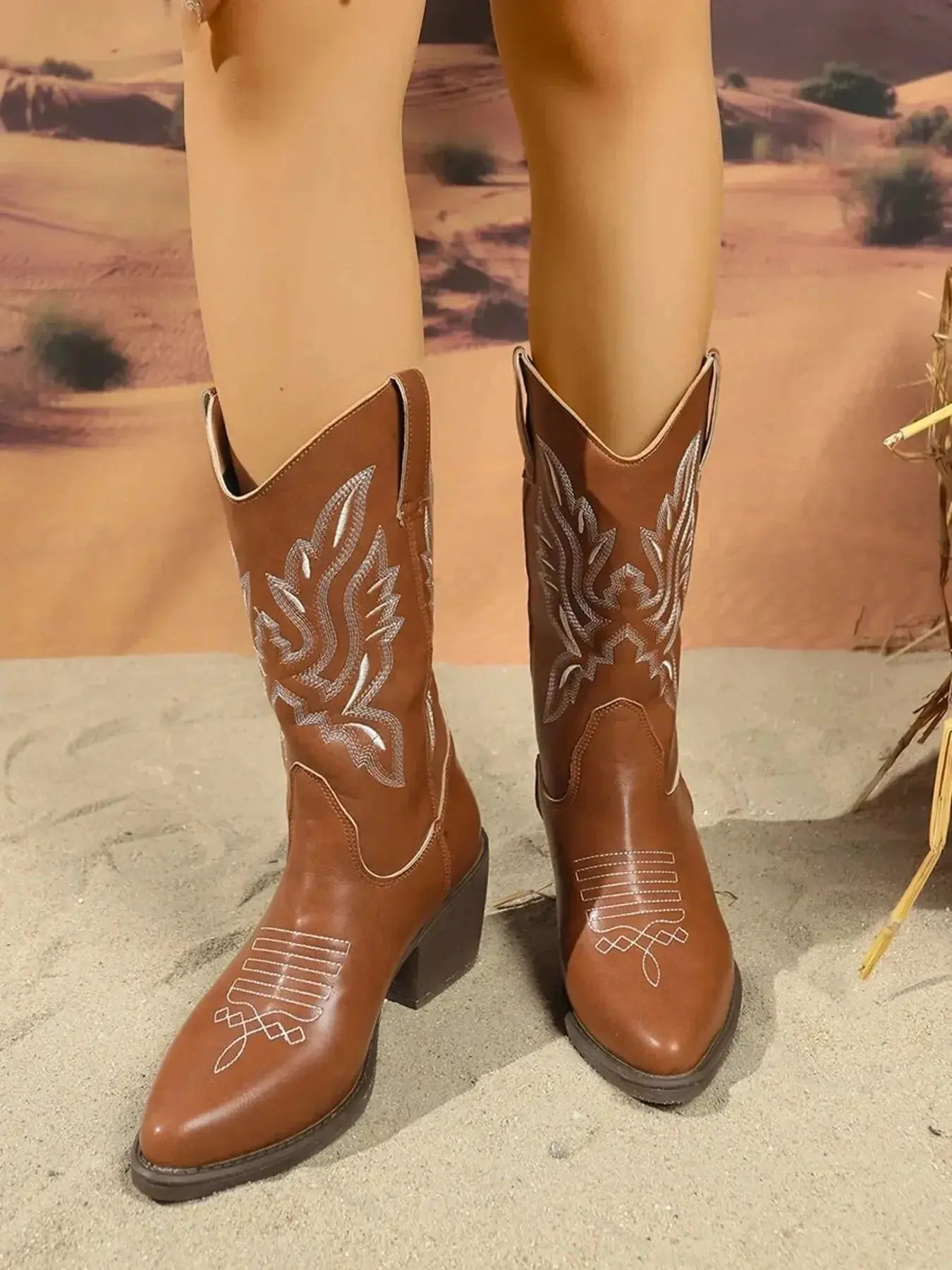 Point Toe Block Heel Boots - DaisyDrop 