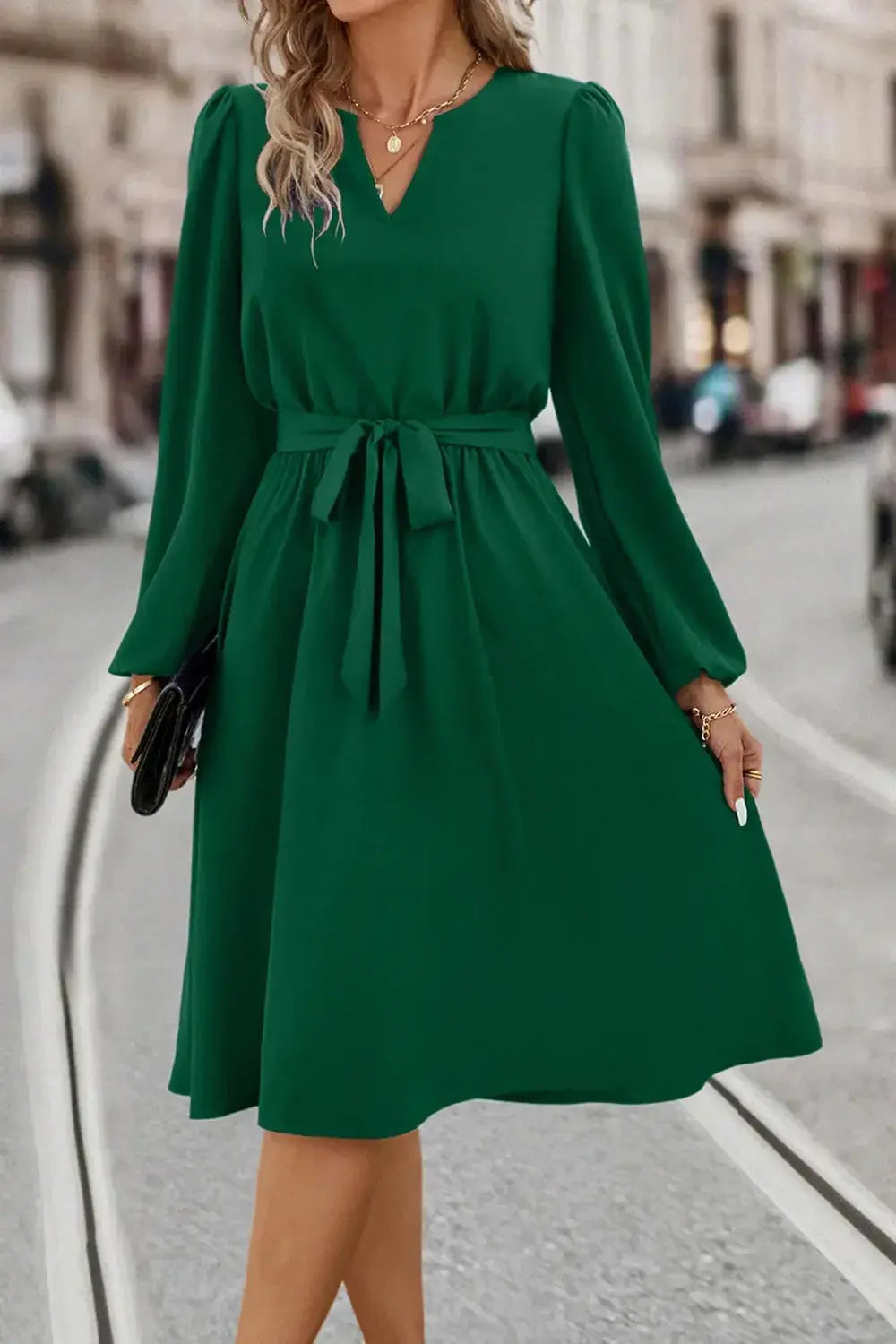 Tie Waist Notched Neck Long Sleeve Dress - DaisyDrop 