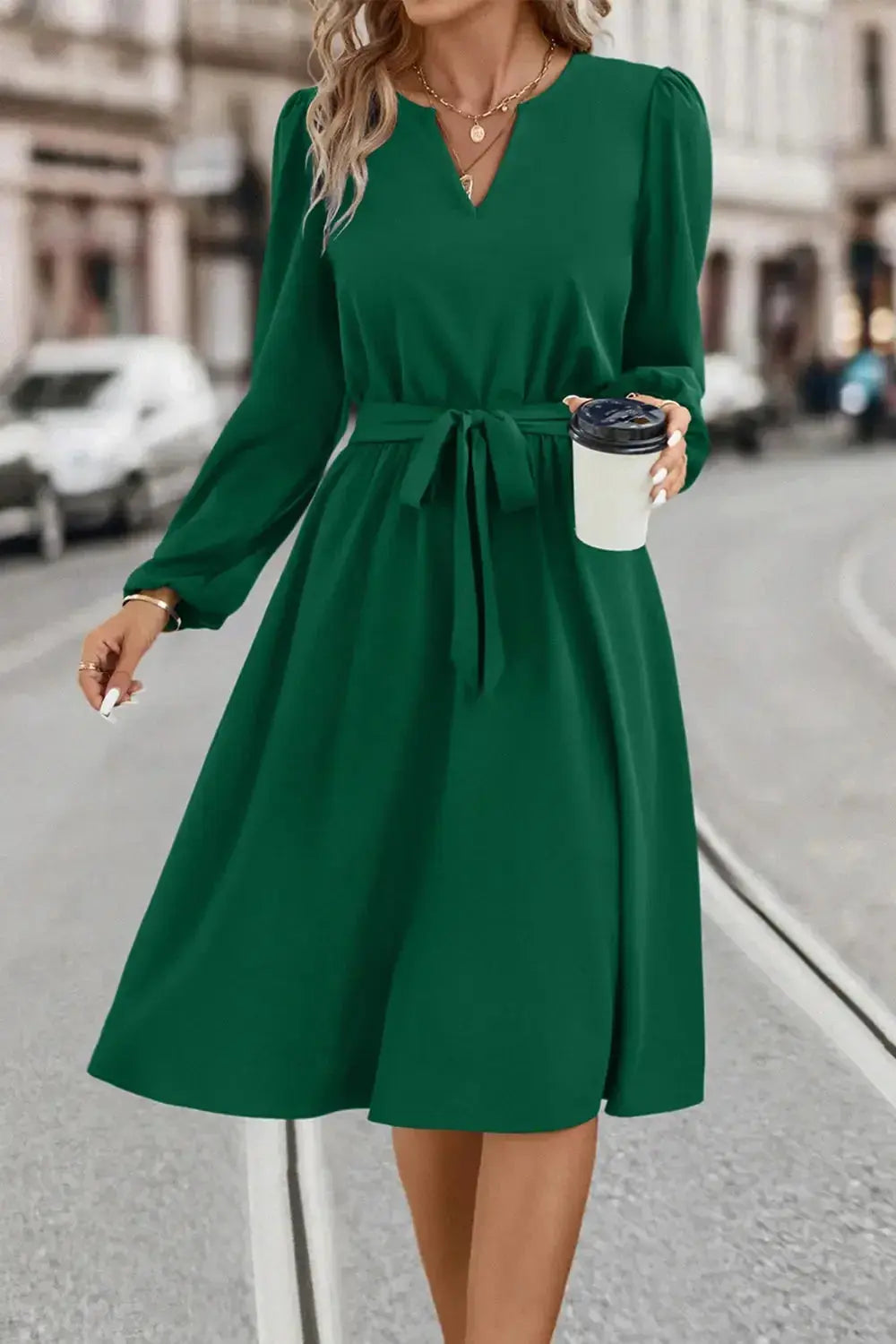 Tie Waist Notched Neck Long Sleeve Dress - DaisyDrop 