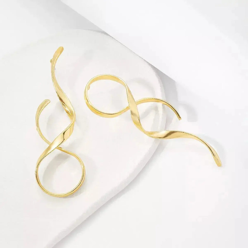 Alloy Spiral Drop Earrings - DaisyDrop 